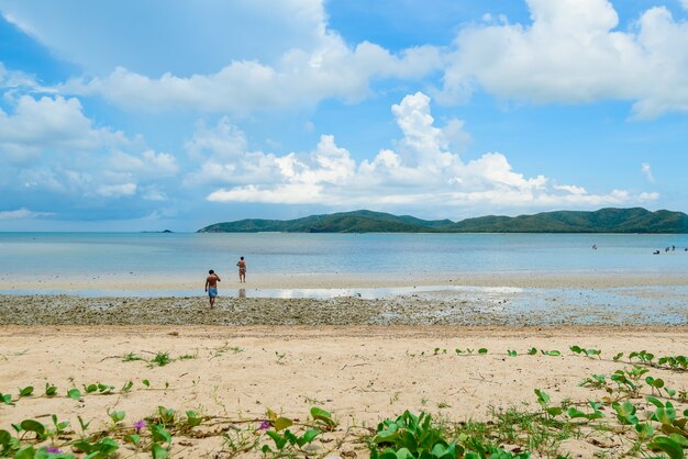 The beach and the sea with blue sky