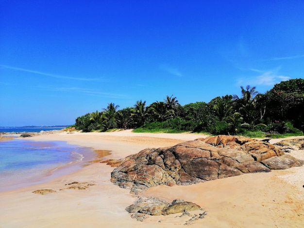 beach and sea