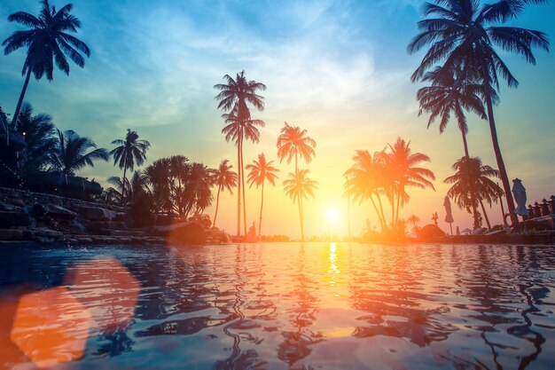 Beach seaside sunset sunset sunrise coconut trees island coconut forest