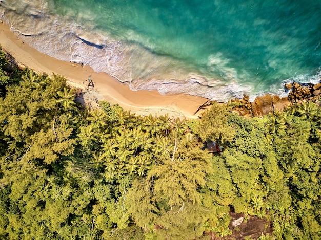 Beach at Seychelles aerial top view