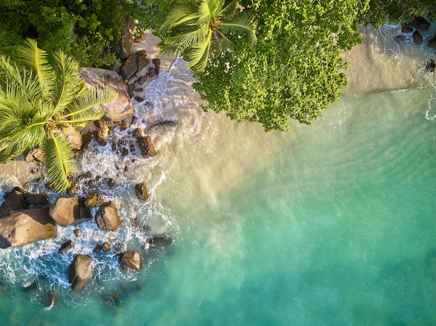 Beach at Seychelles aerial top view