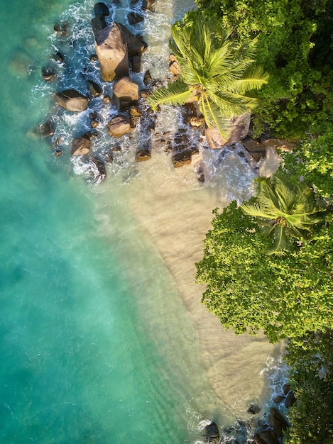 Beach at Seychelles aerial top view