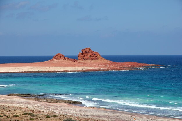 Socotra 섬 인도양 예멘 해변