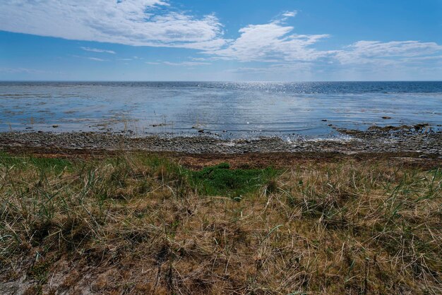 The beach on the Solovetsky Island Cape Pechak White Sea Arkhangelsk region Russia