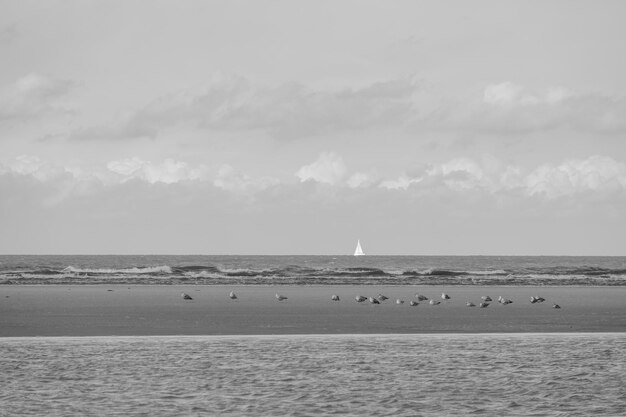 The beach of Spiekeroog