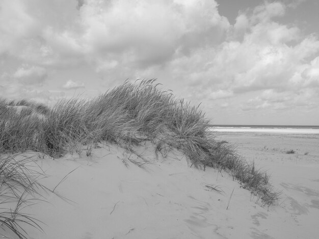 Beach of Spiekeroog