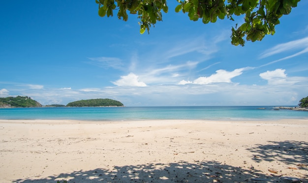 Beach in summer day