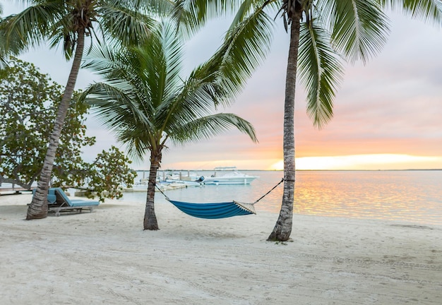 beach, summer and leisure concept - blue hammock on tropical beach