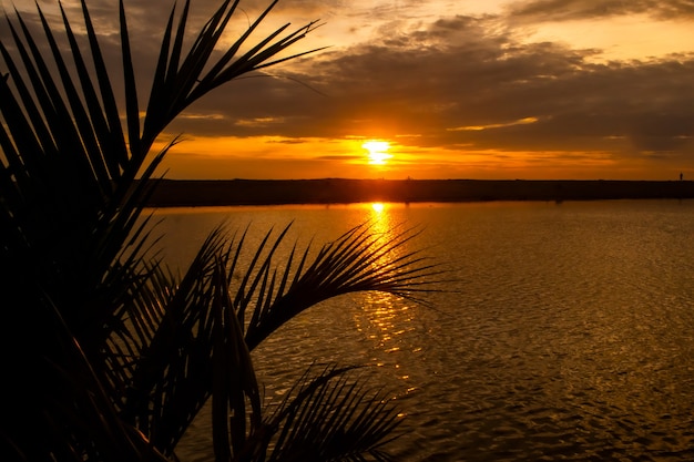 Beach sunset landscape with silhouette of palm trees