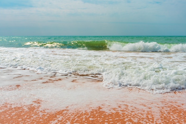 Beach in sunset time, tilt shift soft effect