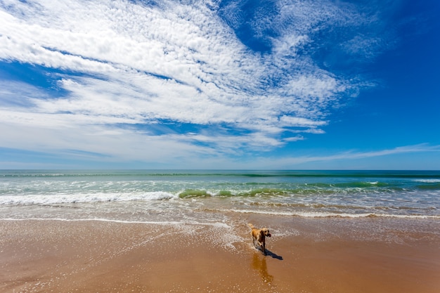 Beach of Torregorda