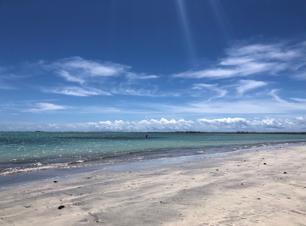 アラゴアスブラジルのビーチ透明な海