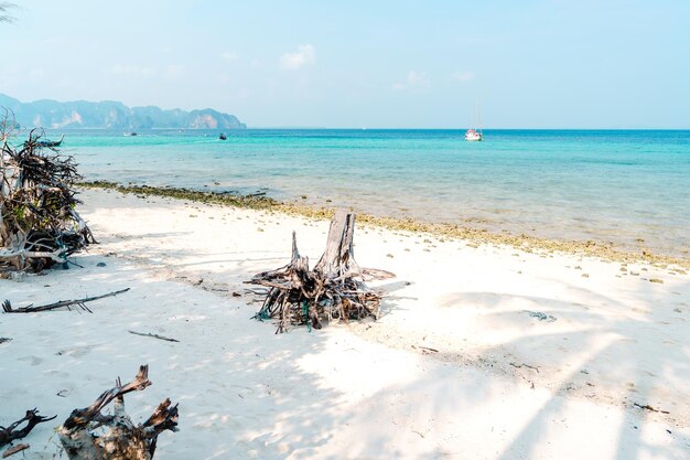 Beach on a tropical island in the afternoon