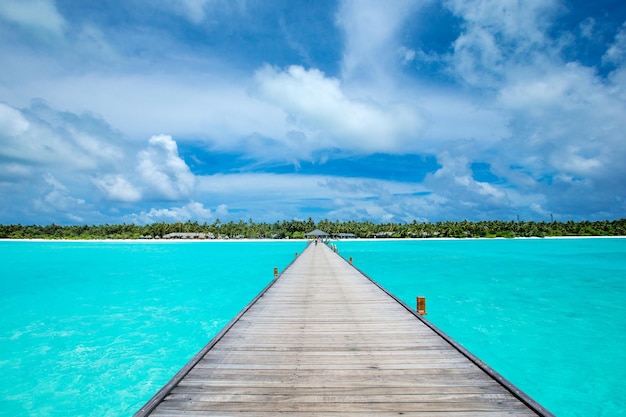 Beach and tropical sea beach landscape