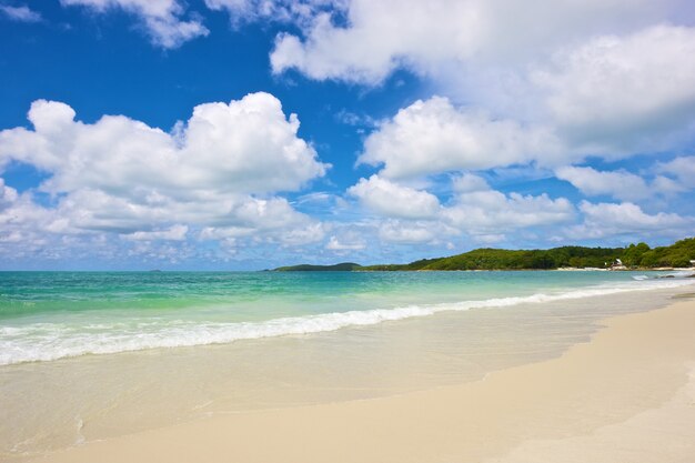 beach and tropical sea under the bright blue sky at summer day