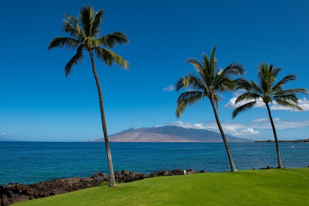 ビーチと熱帯の海澄んだターコイズブルーの海モルディブまたはハワイのココナッツヤシの木のカラフルな海のビーチの風景