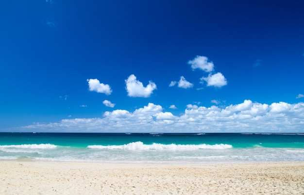 ビーチと熱帯の海の地平線の背景