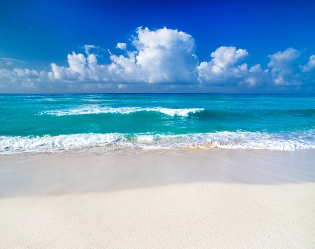 Beach and tropical sea. nature background