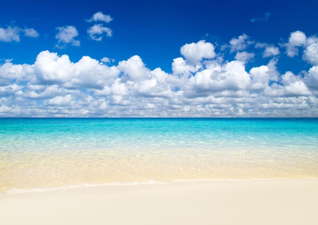 Beach and tropical sea nature background