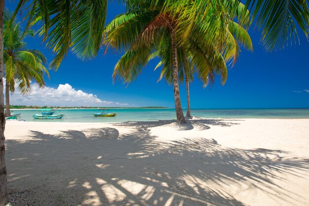 Beach and tropical sea with beautiful sky