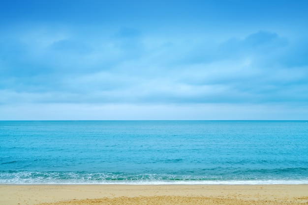 Beach and tropical sea