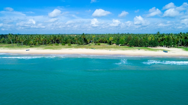 Beach and tropical sea