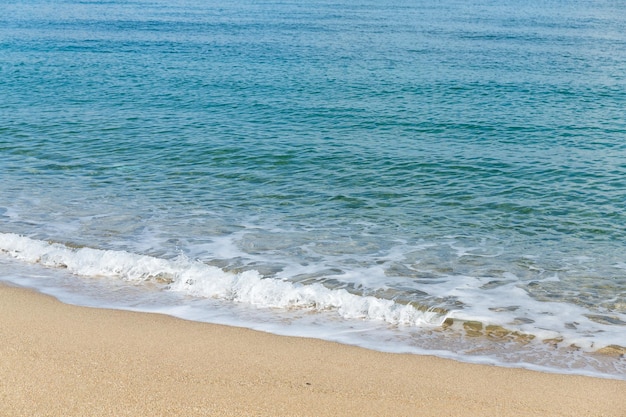 Beach and tropical sea