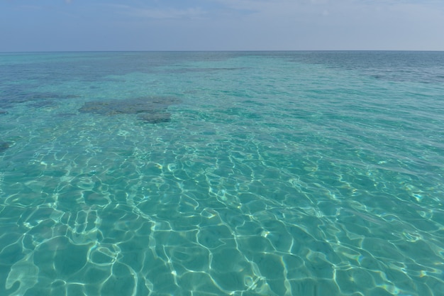 beach and tropical sea