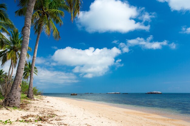 Beach and tropical sea