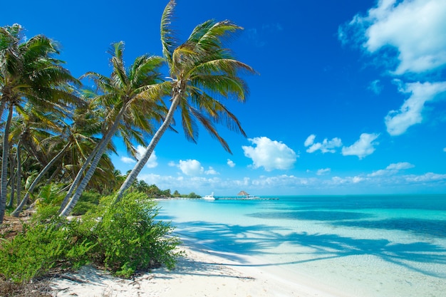 Photo beach and tropical sea