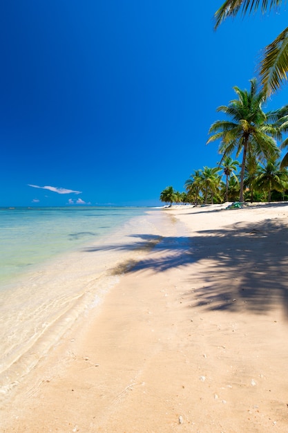 Beach and tropical sea