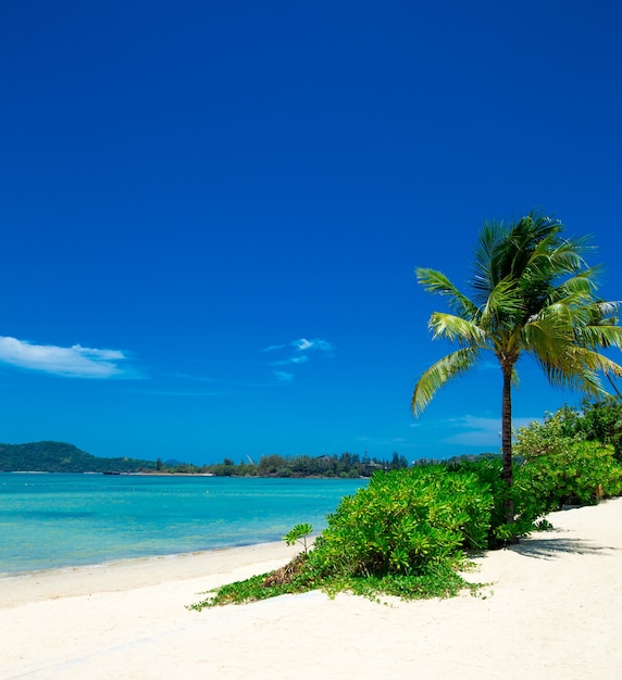 Beach and tropical sea