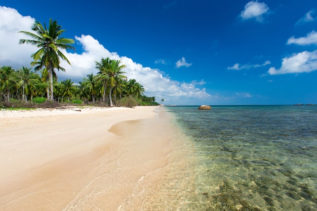 Beach and tropical sea