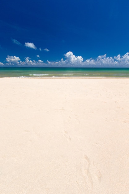 Beach and tropical sea