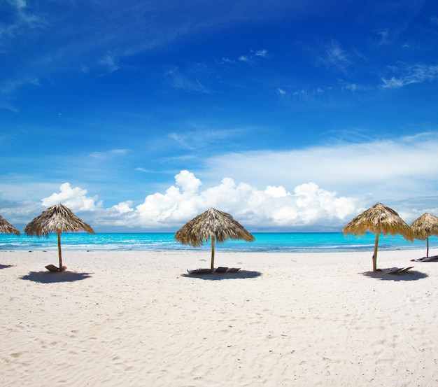 Beach and tropical sea