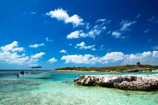 Beach and tropical sea