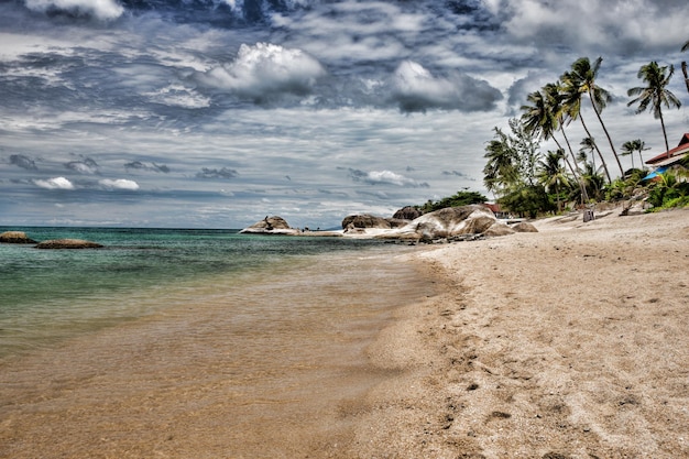 Beach and tropical sea