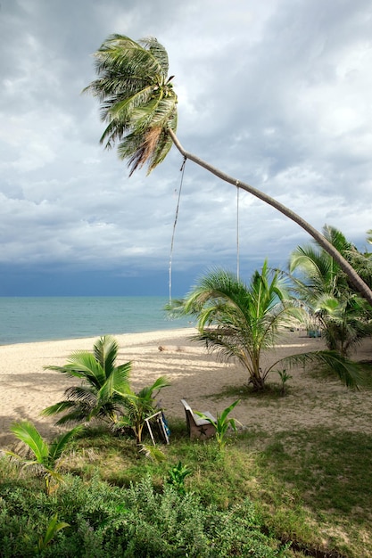 Beach and tropical sea