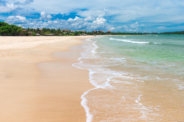 Beach and tropical sea