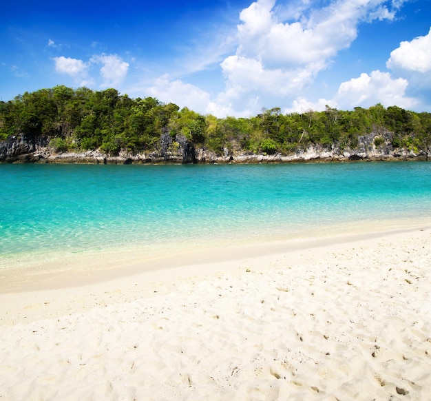 Beach and tropical sea