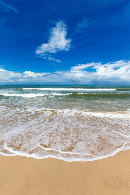 Beach and tropical sea