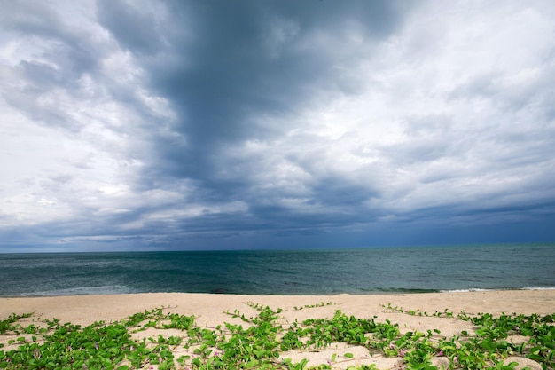 Beach and tropical sea