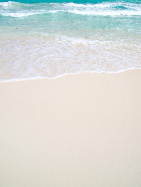 Beach and tropical sea