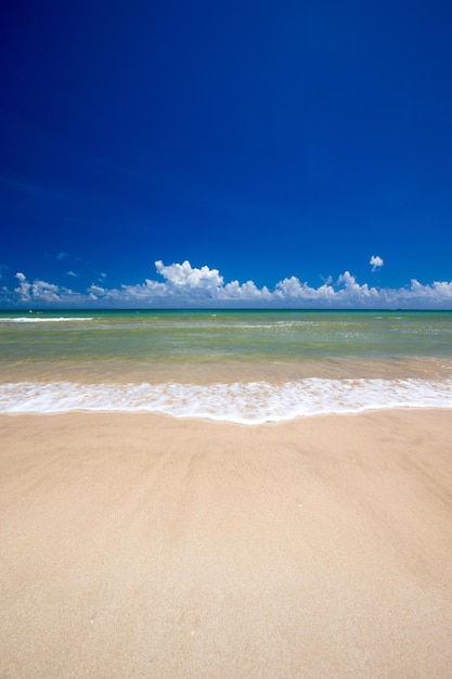 Beach and tropical sea