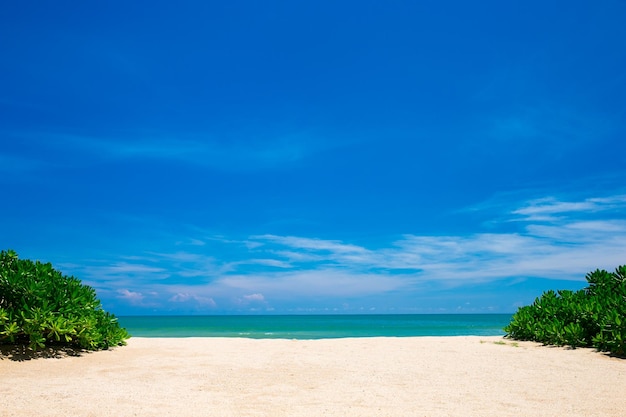 Beach and tropical sea