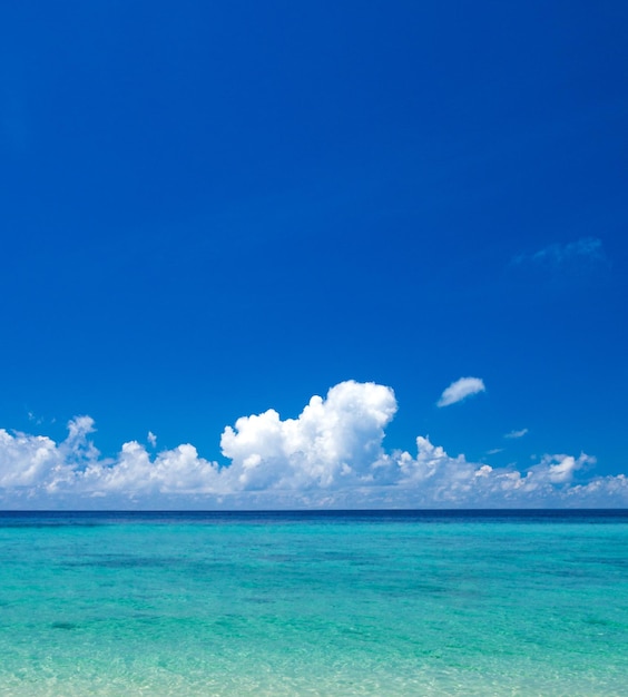 Foto spiaggia e mare tropicale