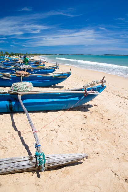 beach and tropical sea