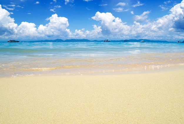 Beach and tropical sea