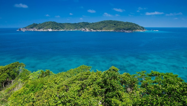 Beach and tropical sea