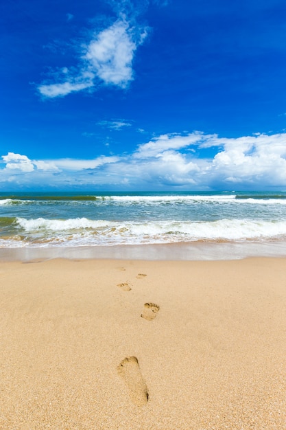 beach and tropical sea